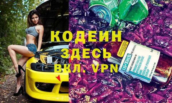 метадон Алексин